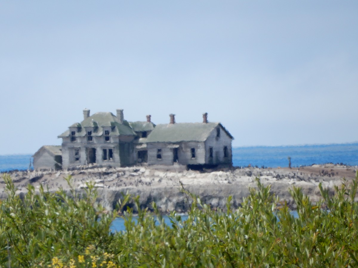 Sea lion house